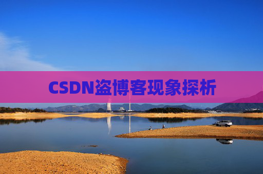 CSDN盗博客现象探析